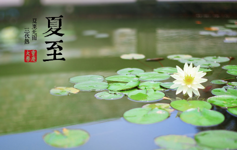 夏至養(yǎng)生正當時
